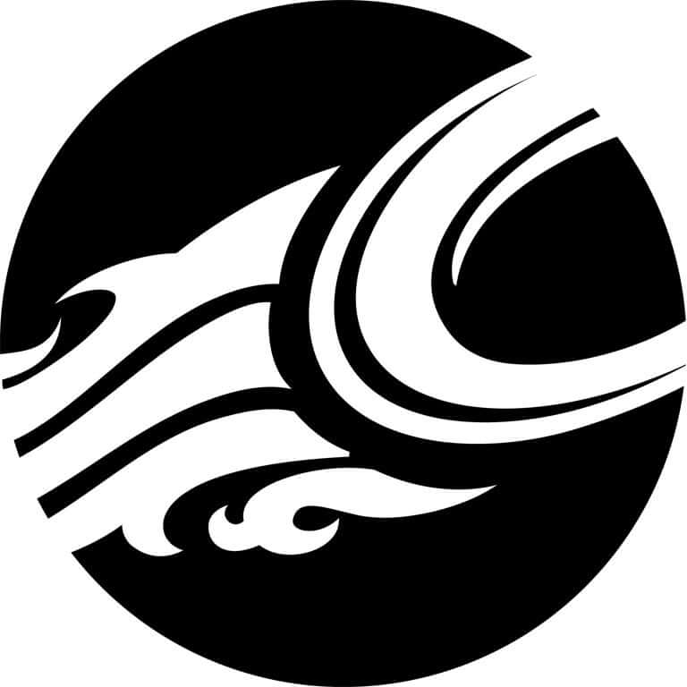 Eagle Kite Online Surf Shop Marken Cabrinha.