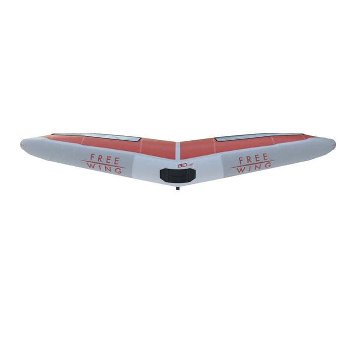 FreeWing FW24 GO V2 WINDOW – Wing