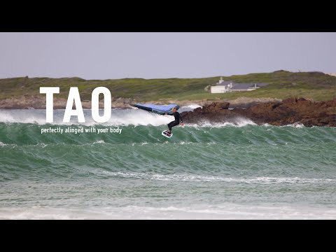 Flysurfer TAO SH – Wing