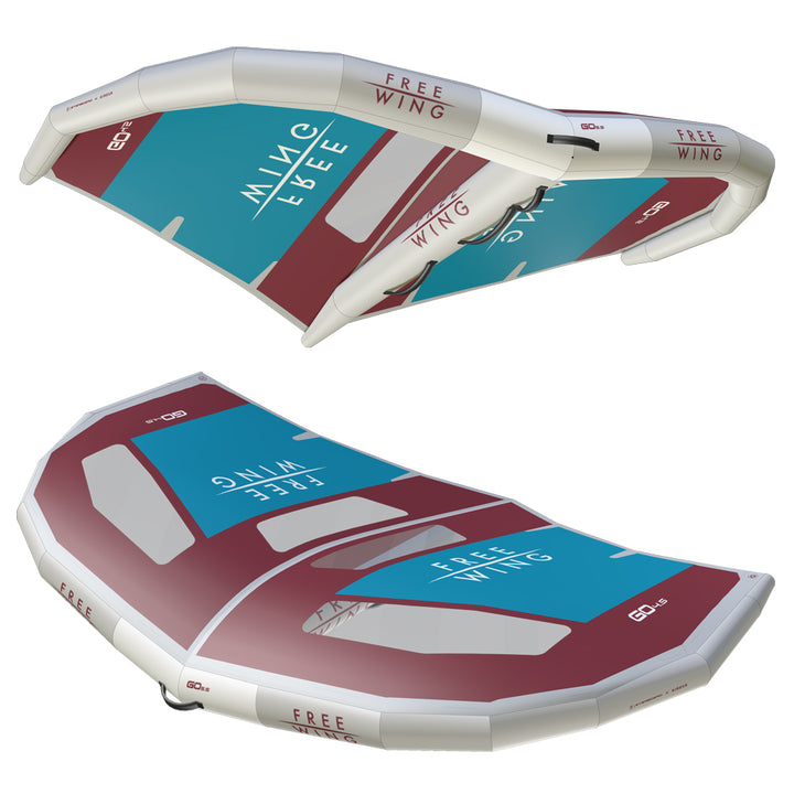 FreeWing FW24 GO V2 WINDOW – Wing