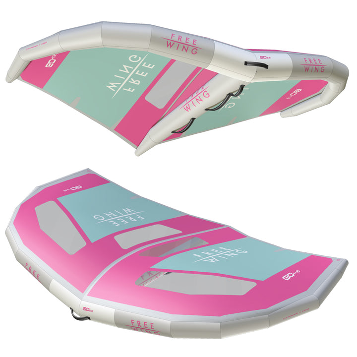 FreeWing FW24 GO V2 WINDOW – Wing