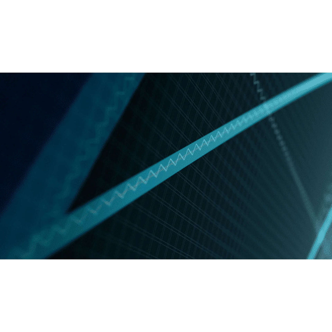 Airush Lithium Team V14 Kite Only – Kite