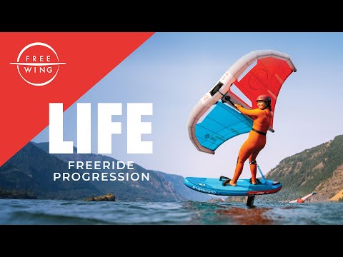 FreeWing LIFE – Wing